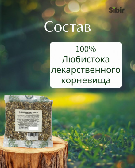 Любистока лекарственного корневища