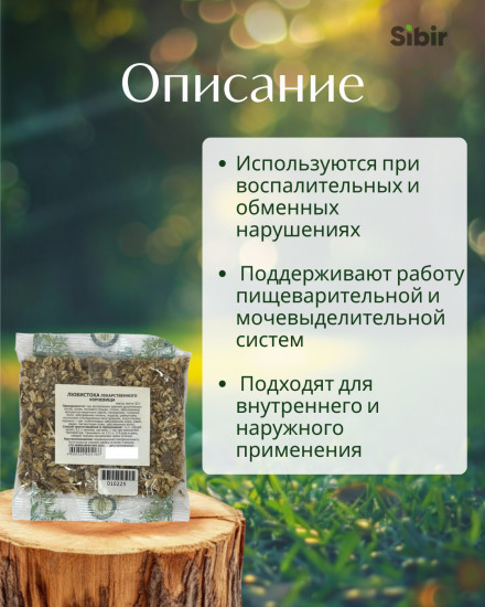 Любистока лекарственного корневища