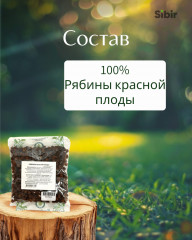Рябины красной плоды - Фото 3