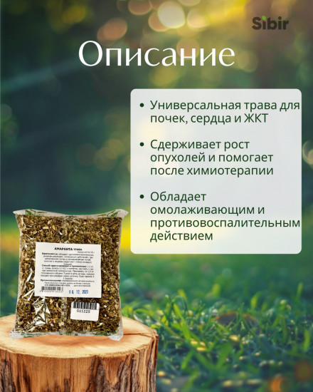 Амаранта трава