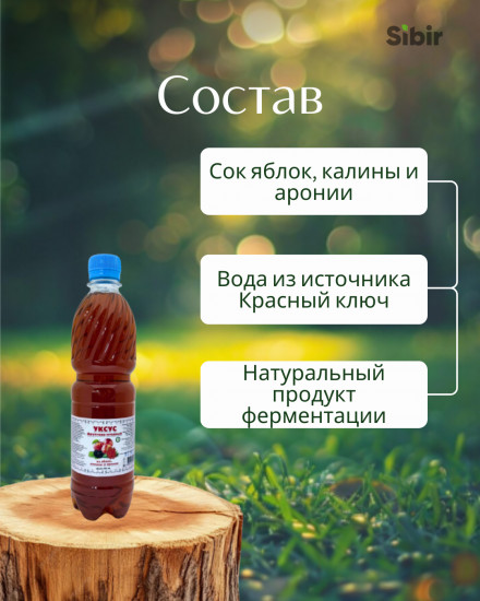 Уксус фруктово-ягодный из яблок, калины и аронии