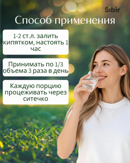 Дрока красильного трава