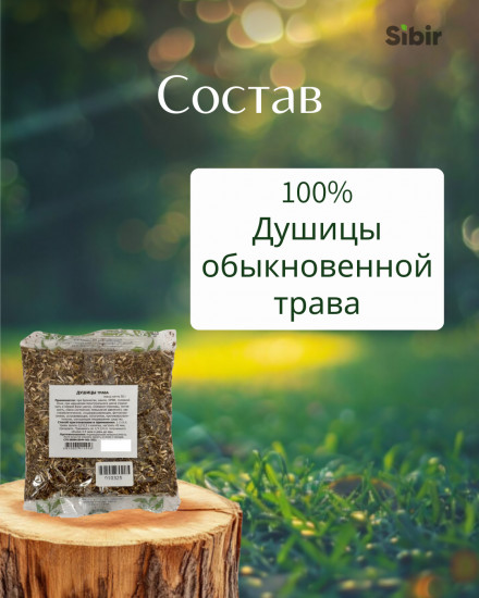 Душицы обыкновенной трава