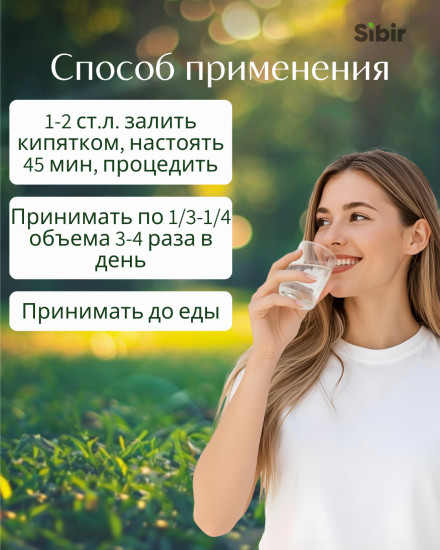 Душицы обыкновенной трава