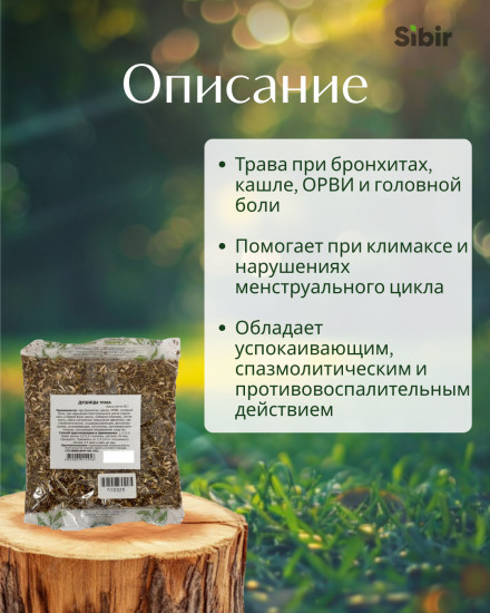 Душицы обыкновенной трава