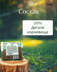 Дягиля листья - Фото 3