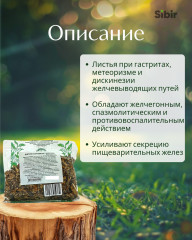 Дягиля листья - Фото 1