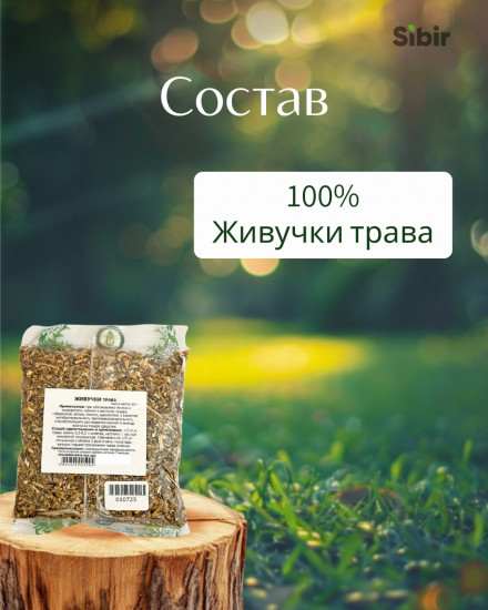 Живучки трава