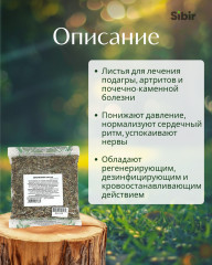 Земляники лист - Фото 1