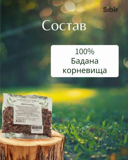 Бадан корень