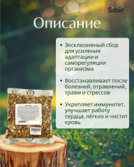 Сбор трав «Здоровье» - Фото 1