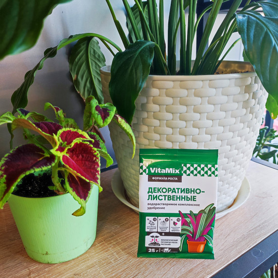 Удобрение для декоративно-лиственных