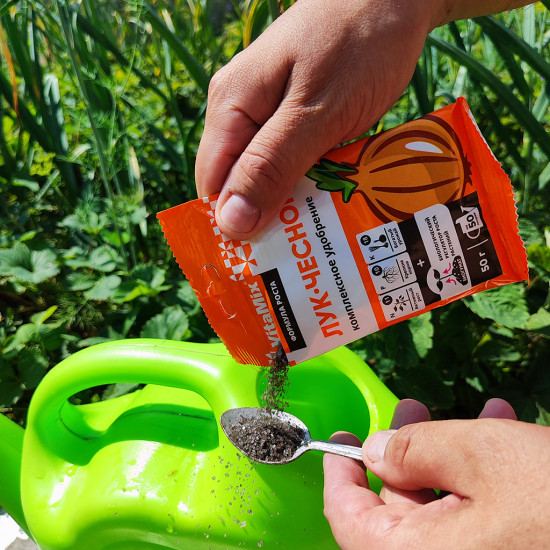 Удобрение для лука и чеснока