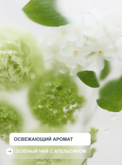 Энзимный гель для умывания лица с AHA + BHA кислотами и зелёным чаем
