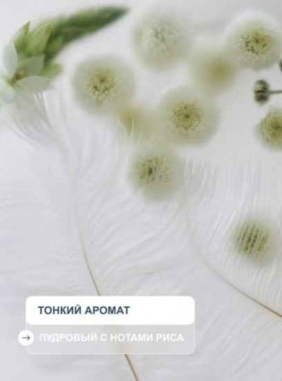 Обновляющая энзимная пудра для умывания с прополисом и витамином С