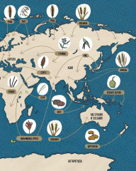 Хлеб. Вкус мира - Фото 7