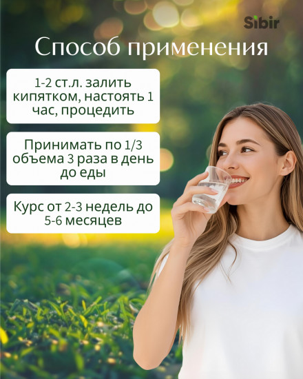 Сбор травяной «Голова умная»