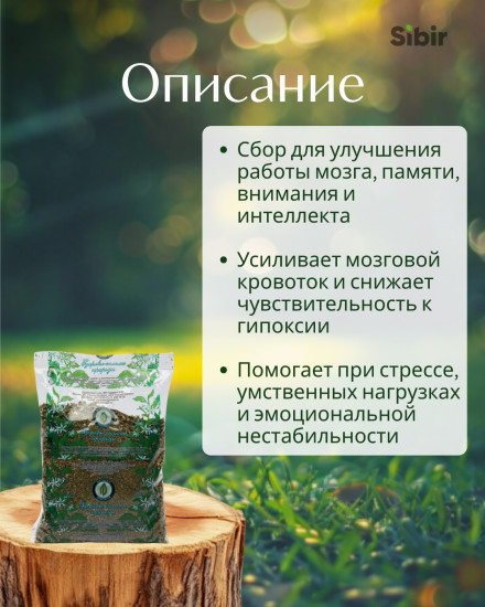 Сбор травяной «Голова умная»