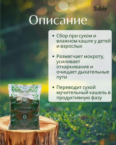 Сбор травяной «Лёгкие здоровые-1»