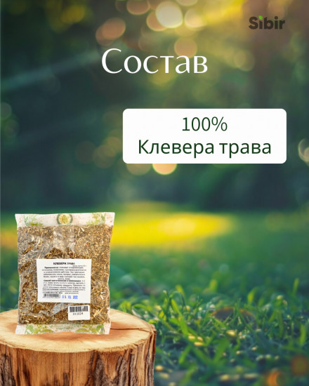 Клевера трава