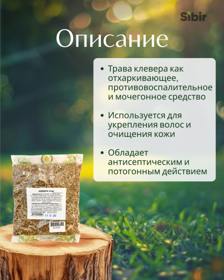 Клевера трава