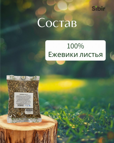 Ежевики листья
