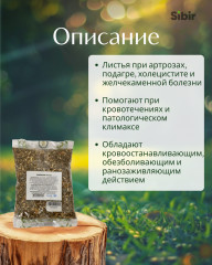 Ежевики листья - Фото 1