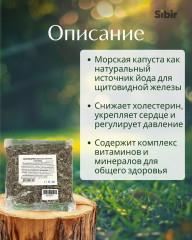 Ламинарии (морская капуста) слоевища - Фото 1