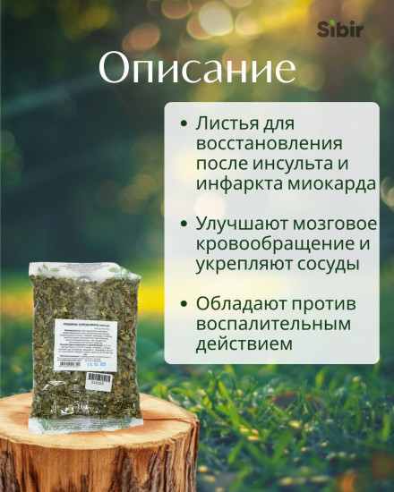 Лещины (орешника) листья