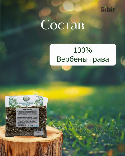 Вербены трава