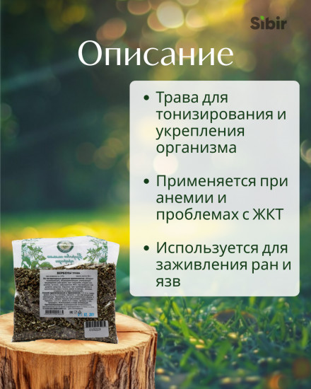 Вербены трава