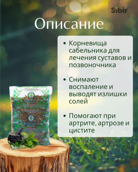 Сабельника болотного корневища