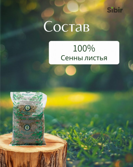 Сенны листья