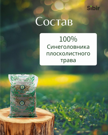 Синеголовника плосколистного трава