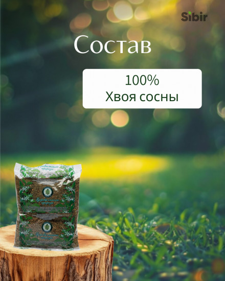 Хвоя сосны