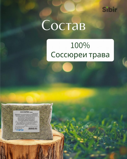 Соссюреи трава