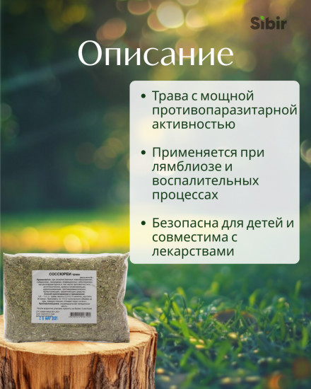 Соссюреи трава