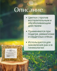 Таволги (Лабазник) цветки - Фото 1