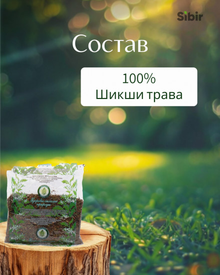 Шикши трава