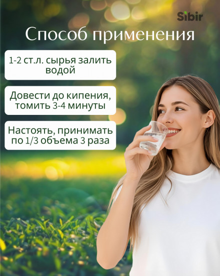 Шикши трава