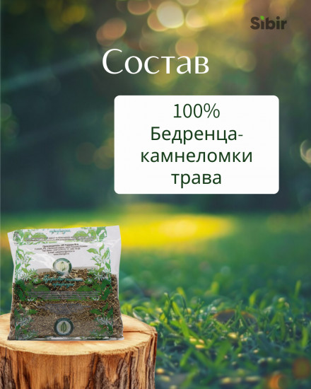 Бедренца-камнеломки трава
