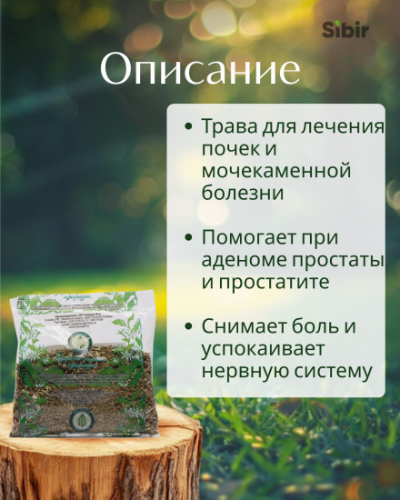 Бедренца-камнеломки трава