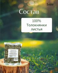 Толокнянки листья - Фото 3