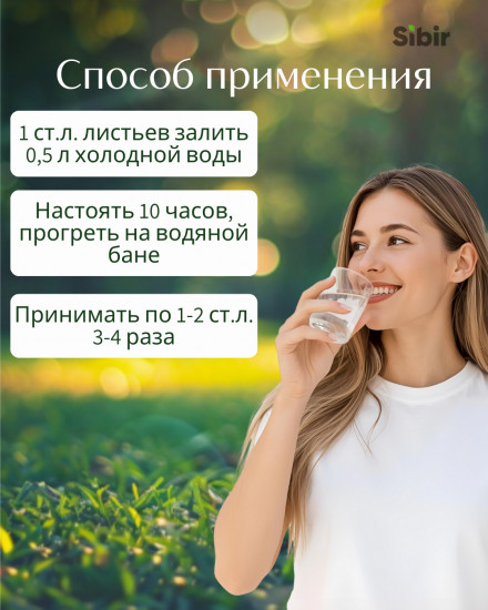 Толокнянки листья