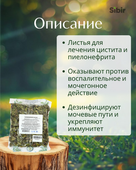 Толокнянки листья