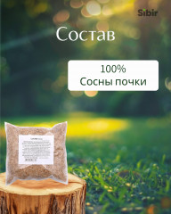 Сосны почки - Фото 3