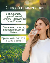 Сосны почки - Фото 2