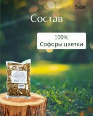 Софоры цветки - Фото 3