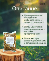 Софоры цветки - Фото 1