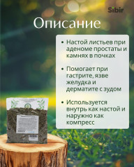 Лопуха большого листья - Фото 1